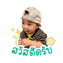 Poylycat_20260321093443