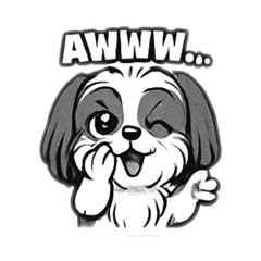 Havanese Dog V4 Black and White