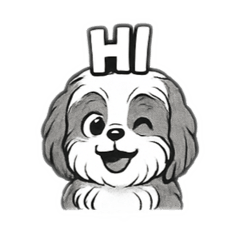 Havanese Dog V3 Black and White