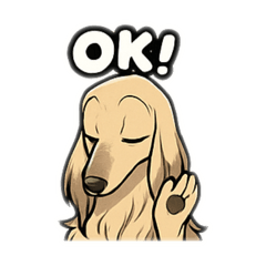 Afghan Hound dog V1 Elegant