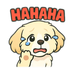 Havanese Dog V2 Cream coat