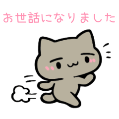 PAKAMOGOLY_20260321001641