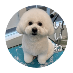 kumagorou_20260321002359