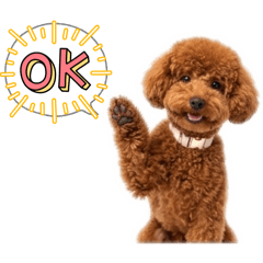 MATSUMOTO_20260321100119