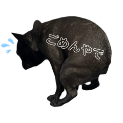 okami_20260321002526