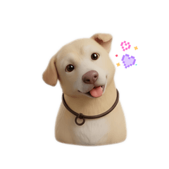 SALAKJIT_20260321111642