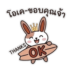 Rabbit Cat Shell (2)