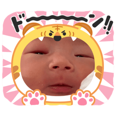 Himawaridesu_20260321110958