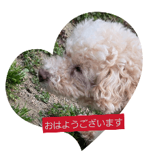 rikka_20260321110118