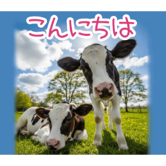 PAKAMOGOLY_20260320210446