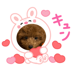 kokororo_20260321074747