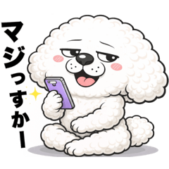 tommy_20260321073248