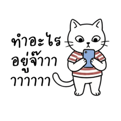 Mina Cutie Cat: What Are You Doing?