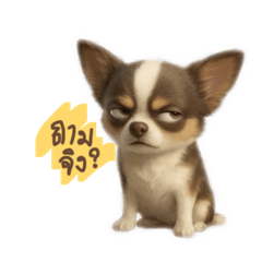 Partner Begin_20260320213505