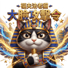 福夫法老貓-大臉攻擊