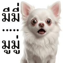 Mimi and Mumu, Best Friends - 5