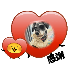 Yamatama_20260321114914