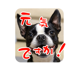 junkata_20260318222320