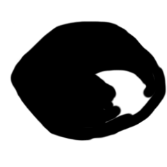 mitinomeya_20260321212352