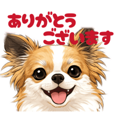 44maru_20260321124910