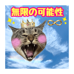 TOMIKO_20260321124931