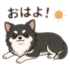 Rascal_20260321123817