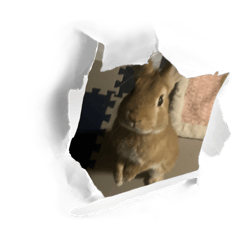 ryuuu_20260321144016