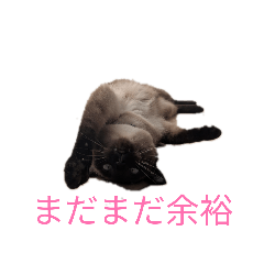 Moka Factory_20260321163302