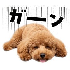 MATSUMOTO_20260321132917