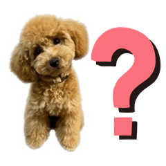 MATSUMOTO_20260321133235