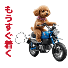 MATSUMOTO_20260321134001