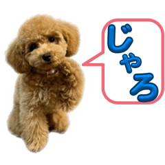 MATSUMOTO_20260321134106