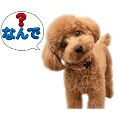 MATSUMOTO_20260321134520