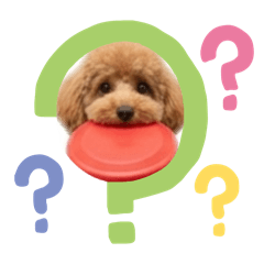 MATSUMOTO_20260321134342