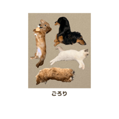 Minami_20260321151711