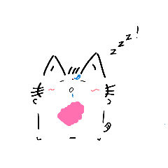 吉娃娃錢錢來啦！！！