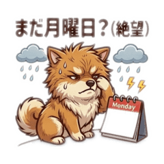 NIGTH INDUSTRY_20260321173043