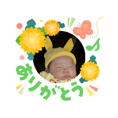 Nelson_20260321134545