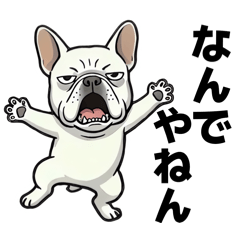 Sassy Kansai Frenchie!