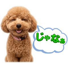 MATSUMOTO_20260321134633