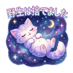 Sparkling Galaxy Cat ver.2