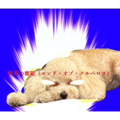 tamaki_20260321135532