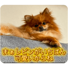 haruna_20260319083943