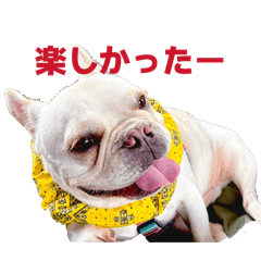 ENMARU_20260321135849