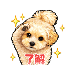 mocona_20260321160245