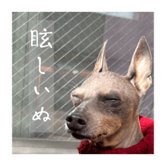 yakan_20260321160925