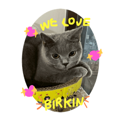 We love thomas&birkin