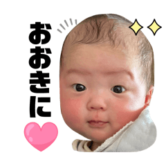 momone._20260321161411