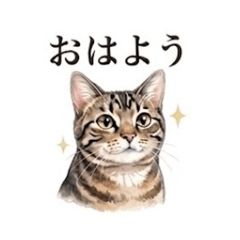 SUMI TEN_20260321173850