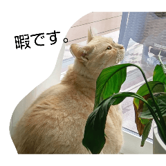 kurieita_20260321161721